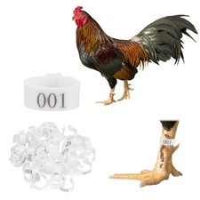 50-Pack Chickens Leg Bands, 20 mm Plastic Chicken Leg Rings White