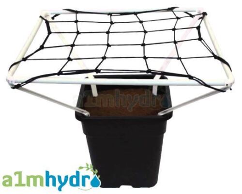 Filet de soutien pour plantes Scrog Line Pro 1,2 filet de soutien 60 cm x 60 cm tente de culture hydroponique - Photo 1/1
