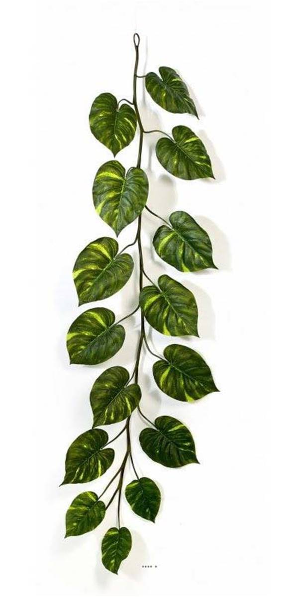 Guirlande de feuilles de pothos artificiel retombant H230cm grand feuillage intérieur