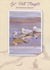 Designer Greetings 3 Seagulls Resting in Water Get Well Card
