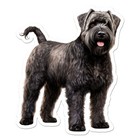 Bouvier Des Flandres Vinyl Decal Sticker - ebn12170