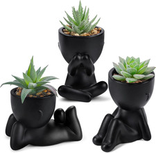 Der Rose 3Pcs Fake Succulents Plants Artificial for Black Bathroom Bedroom Home 