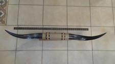Beautiful Large Bullhorn/Longhorn Mount, 3 Feet.1 inch tip to tip, Excellent