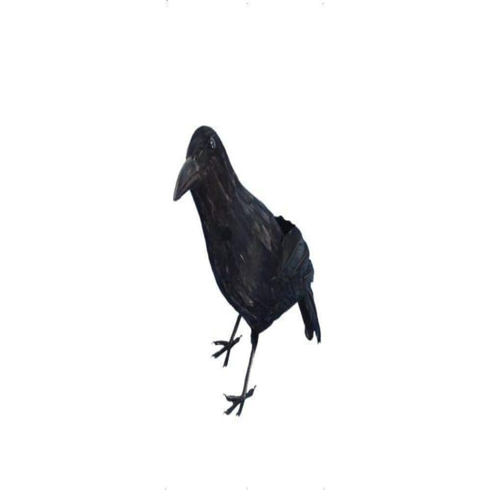 Smiffys Crow, Black