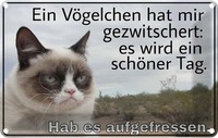 Blechschild 12X18 Cm VöGelschen Gezwitschert Spruch Zitat Deko Geschenk Metall S