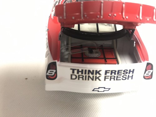 Dale Earnhardt Jr #8 Budweiser - Bild 11 von 11