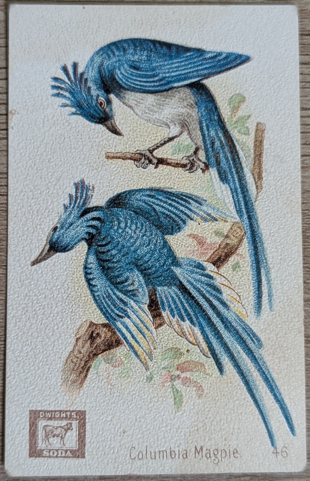 Picture 1 of 2
