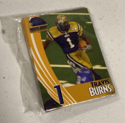 2002 NORFOLK NIGHTHAWKS Arena Football Cards TEAM SET of 10 AF2 BRUCE SMITH OWN