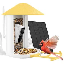 Netvue Birdfy Feeder FHD Smart Bird Watching Feeder Camera Yellow Color