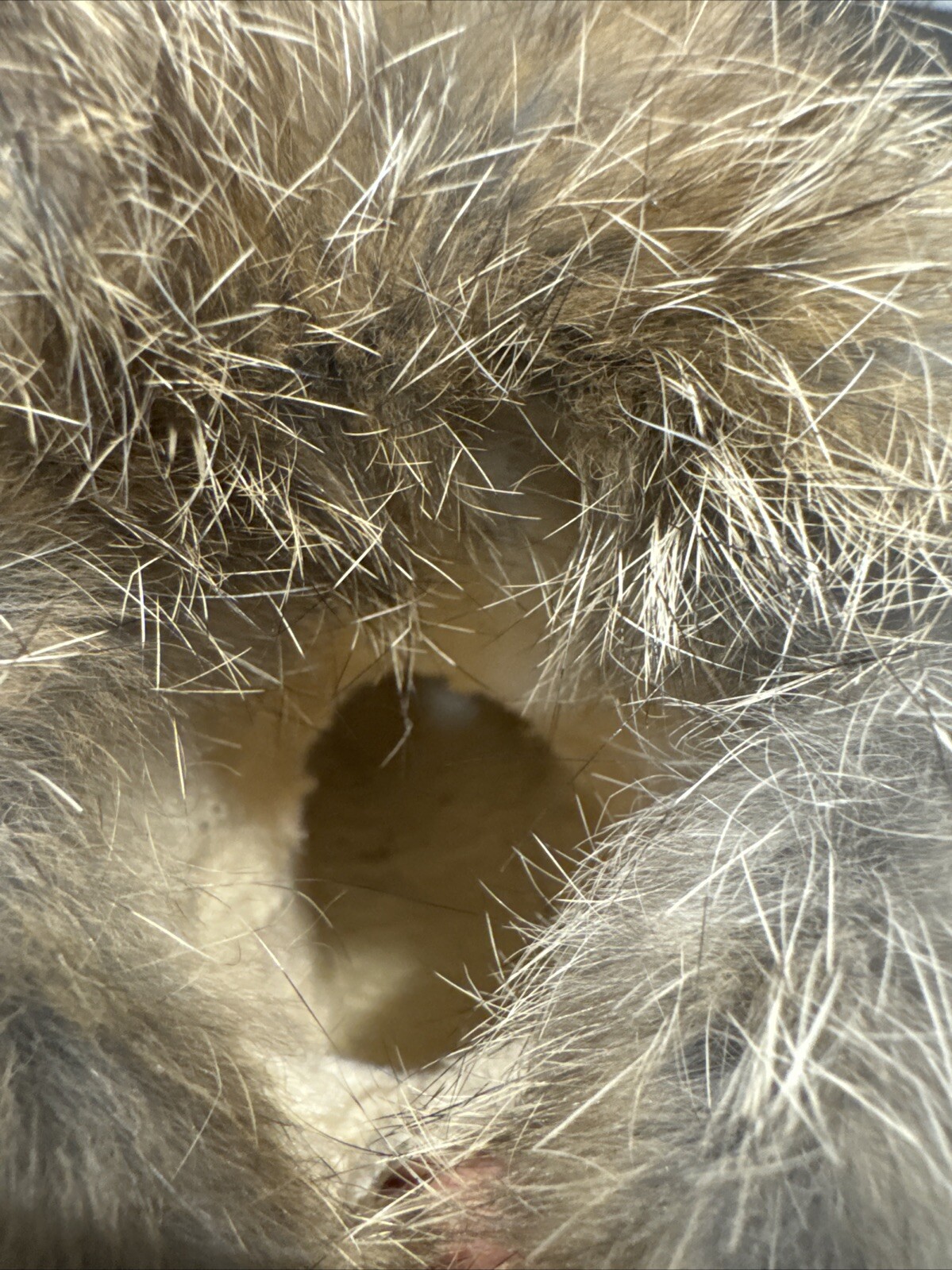 Bild 8 von 8