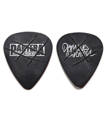 PANTERA - Dimebag Darrell Tour/Concert Guitar Pick ~Genuine Stage Pick~