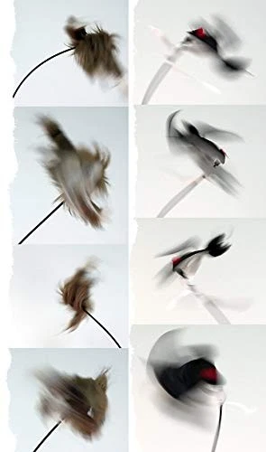  AD400 Electronic Predator Decoy – Lightweight, Compact, and Quiet – Includes  - Image 3 of 4