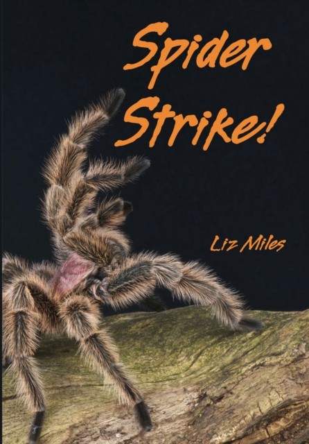Fully Booked Spider Strike