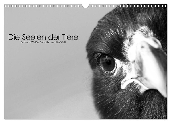 "Calendar 2027 · US Version · The Souls Of Wild Animals (Wall Calendar 2027 17\" ×"-image