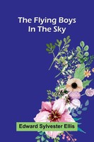 Edward Sylvester Ellis | The Flying Boys In The Sky | Taschenbuch | Englisch