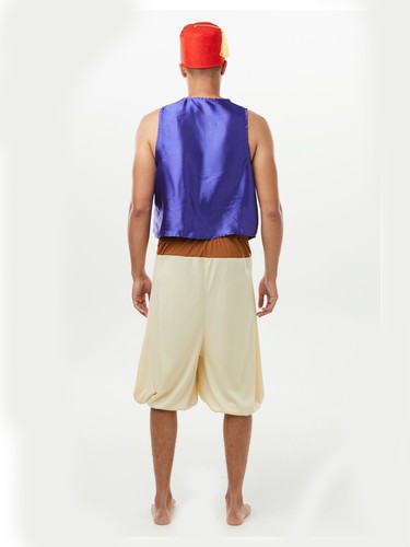 Mens Aladdin Deluxe Costume Adult Sultan Arabian Prince Disney Genie Book Week - Picture 6 of 6