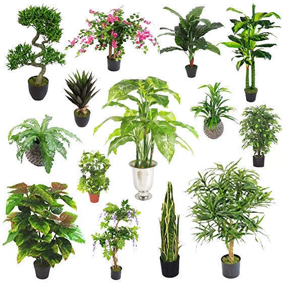 LARGE Artificial Palm Trees, Ficus Plants, Bamboo Tropical Yukka ULTRA REALISTIC - Image 3 of 3