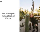 Bild 11 von 12