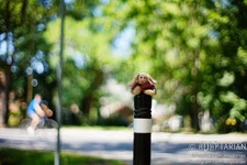 Radioactive TOMIOKA 55/1.2 (Revuenon) | M42 | Near mint, impressive SAMPLES