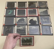 Huge Lot Vintage Antique Magic Lantern Glass Slides ALL animal Related keystone