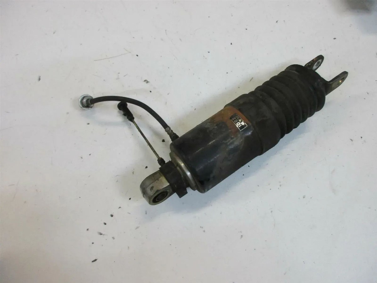 【a】 Noncoding RNA regulatory networks, epigenetics, and