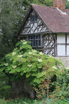 Stoneacre No 2 Original Fotodruck A1 Box Leinwand Wandbild Kunstwerk