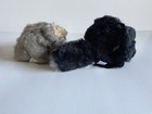 Puffkins lot of 2 plush: Odie the skunk & Nutty the squirrel with tags. — photo 4