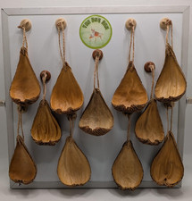 Jumping spider swing / hammock. Magnetic. Natural Pentalaren. Mantis accessory