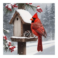 FHBUBPUP Diamond Painting Kits for Adults, Cardinal 30 cm x 30 cm, cardinal-1