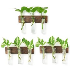 Wall Mounted Plant Terrarium with Wooden Stand 3 PCS 9 Glass Tubes with Ring