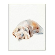 Stupell Industries Scruffy Dog Laying Down House Pet Painting
