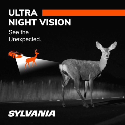 SYLVANIA 9005 SilverStar lampadina alogena per fari ultra alte prestazioni - Foto 3 di 6