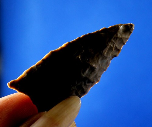Dalton Classic Point Authentic Prehistoric Artifact Arrowhead Native Indian - Picture 7 of 8