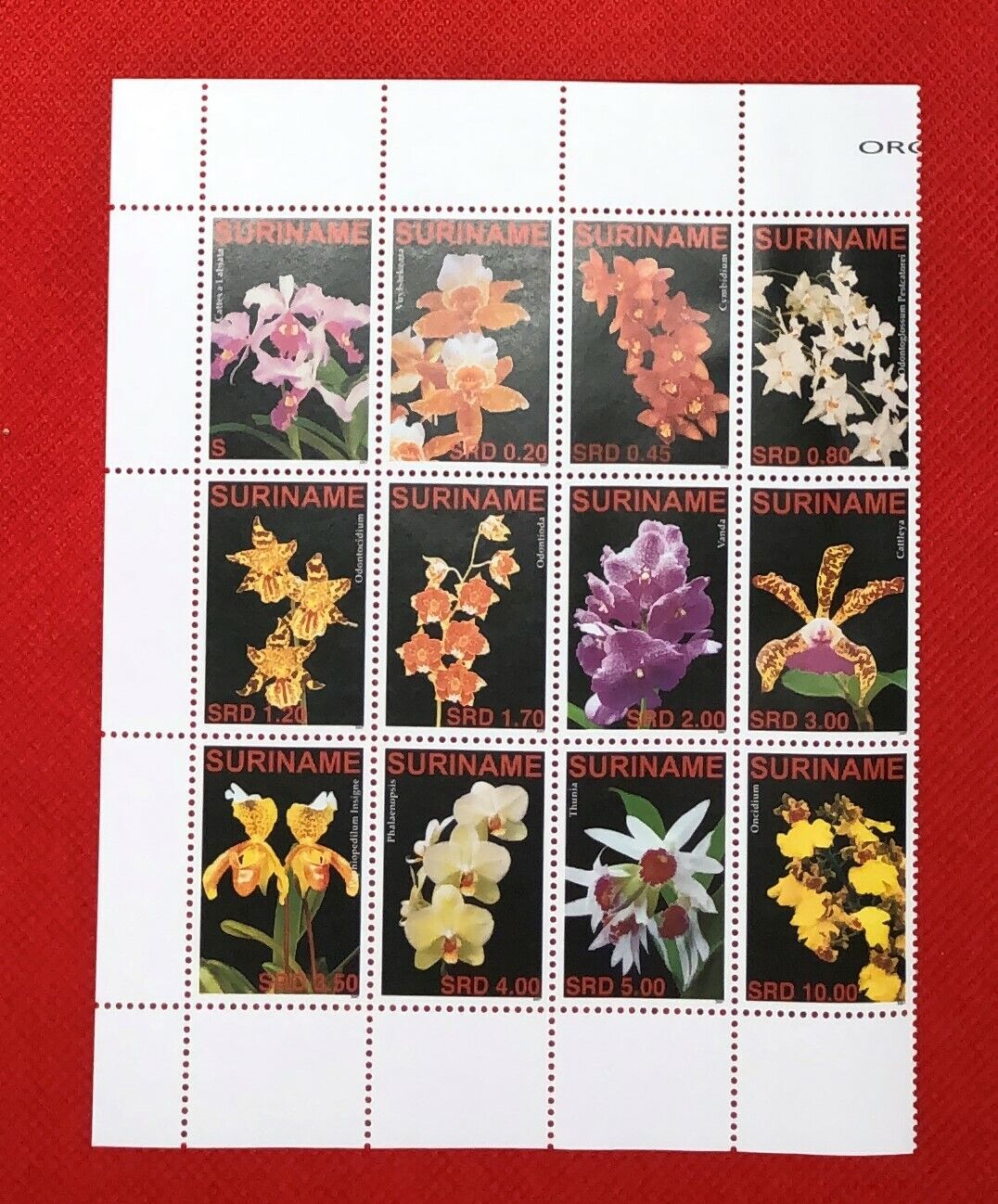 Ranking TOP5 2007 Suriname 1351 Super beauty product restock quality top MNH block of ORCHIDS 12 - FLOWERS scarce