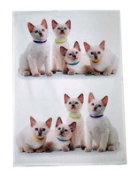 Geschirrtuch,Geschirrhandtuch,Abtrocknen,Baumwolle,KüChe,Katze,Katzen,Mieze