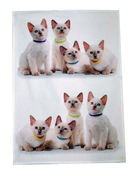 Geschirrtuch,Geschirrhandtuch,Abtrocknen,Baumwolle,KüChe,Katze,Katzen,Mieze-image
