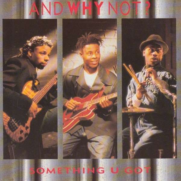 And Why Not? – Something U Got - 7" Vinyl - 1990 - IS452 - AFBZ - NM/NM