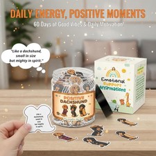 Positive Dachshund Jar with 60 Affirmation Cards   Uplift and Inspire Daily