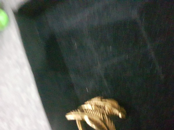 Alternate view of Beautiful Leaf Design Gold Plated Ring