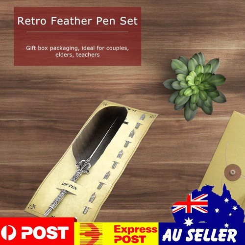 Calligraphy Feather Dip Pen+5 Nib Writing Ink Quill Fountain Pen (Grey ...