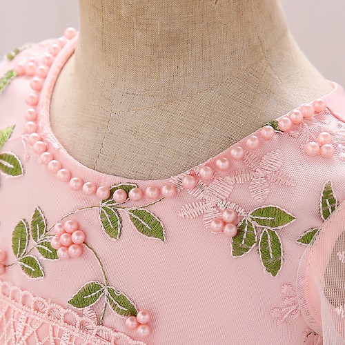 Kids Baby Girls Embroidered Princess Dress Toddler Wedding Party Floral Dresses - Picture 9 of 14