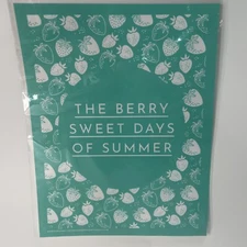 Chalk Couture Transfer/ Stencil Size B New Reusable Berry Sweet Days Of Summer
