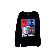 Boys Marvel Spider-Man Sweatshirt Pullover, Black