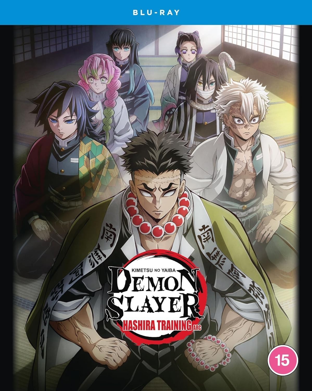 Demon Slayer: Kimetsu No Yaiba - Hashira Training Arc (Blu-ray) **NEW**