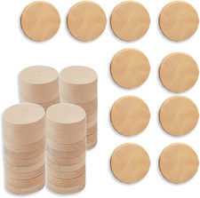 1 Inch Natural Wood Slices Unfinished round Wood Coins for DIY Arts  Crafts Pro