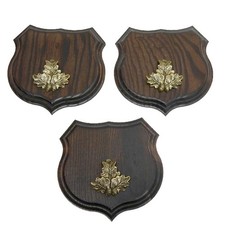 3x Wappenschilder Cinghiale Af 15cm Scudo Trofeo Rovere Foglie Piccolo