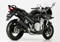 Shark SRC 4 Auspuff Schwarz Passend FüR Suzuki GSX 1250 FA 2010-2016