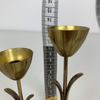 Picture 9 of 10