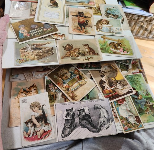 Victorian LOT OF 41 Trade Cards And SCRAPEBOOK Cards Featuring CATS. FABULOUS