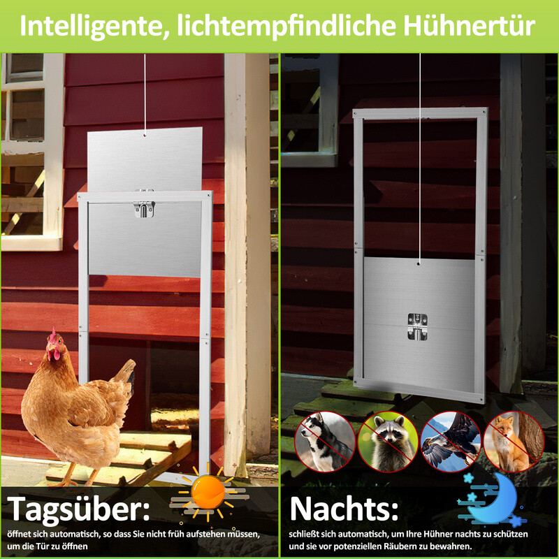 Bild 4 von 12